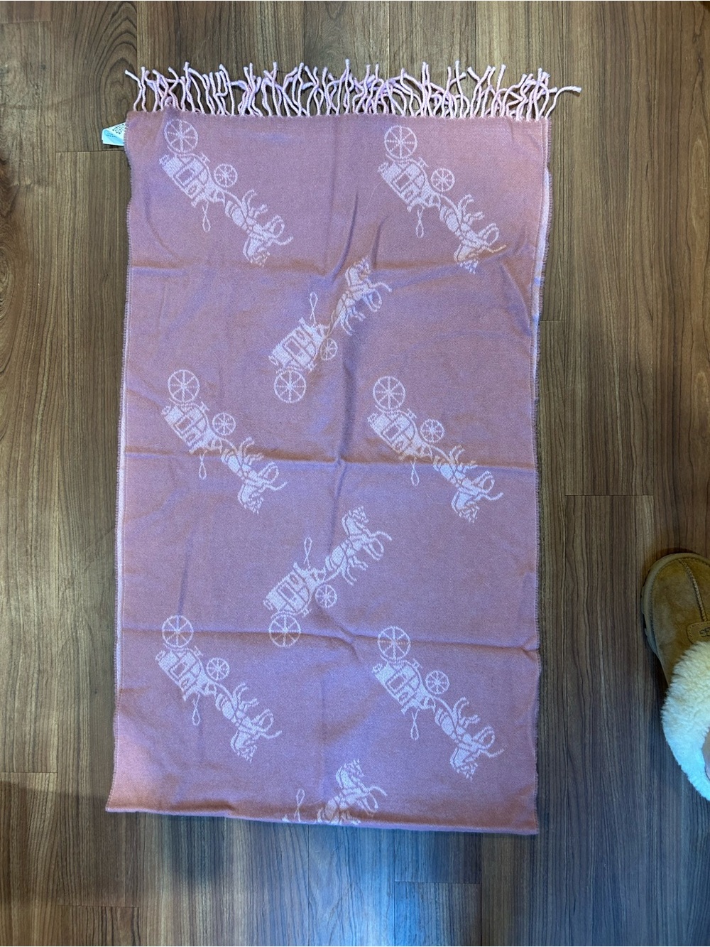 Coach - Cashmere Pink Carriage Scarf